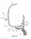 Fig. 68 - Patient interface