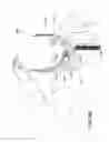 Fig. 84 - Patient interface