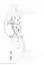 Fig. 99 - Patient interface