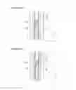 Fig. 09 - URETHRAL STRICTURE TREATMENT METHOD