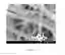 Fig. 06 - Processes for forming composite structures with a two-dimensional material using a porous, non-sacrificial supporting layer