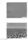 Fig. 01 - METHOD FOR PRODUCING A THERMORESPONSIVE FILTRATION MEMBRANE AND THERMORESPONSIVE FILTRATION MEMBRANE