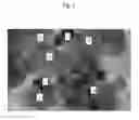 Fig. 02 - PHOTOCATALYST COMPRISING GOLD-PALLADIUM ALLOY, METHOD FOR PREPARATION, PHOTOLYSIS SYSTEM