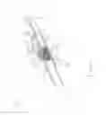 Fig. 02 - TELESCOPIC WAND