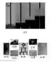 Fig. 03 - Three-Dimensional Printing of Metallic Materials
