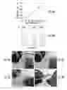 Fig. 04 - Three-Dimensional Printing of Metallic Materials