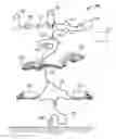 Fig. 01 - SYSTEM, METHOD, AND APPARATUS FOR MANAGING FRACTURING FLUIDS