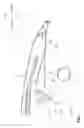 Fig. 08 - Saddle-ride type vehicle