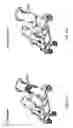 Fig. 35 - Stroller with secondary seating