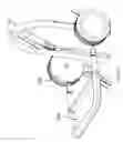 Fig. 75 - Stroller with secondary seating