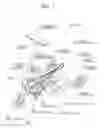 Fig. 02 - Bicycle