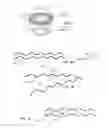 Fig. 03 - PACKAGING MATERIALS DERIVED FROM RENEWABLE RESOURCES AND INCLUDING A CYCLODEXTRIN INCLUSION COMPLEX