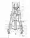 Fig. 04 - Closing device including intertwined sliding cage and gripping part