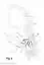 Fig. 03 - Multiple filling element for a filling system or a filling machine and filling machine