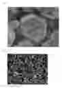 Fig. 03 - Silicon carbide powder comprising alpha phase silicon carbide granules of trimodal particle size distribution and low impurities