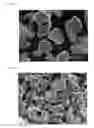 Fig. 07 - Silicon carbide powder comprising alpha phase silicon carbide granules of trimodal particle size distribution and low impurities