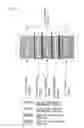 Fig. 07 - Electrical deionization apparatus