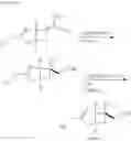 Fig. 52 - Preparation method for optically active bicyclic gamma-amino acid compound