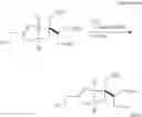 Fig. 55 - Preparation method for optically active bicyclic gamma-amino acid compound