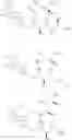 Fig. 06 - Hydroxylated KRN7000 analogue and use thereof
