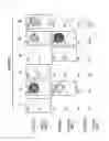 Fig. 02 - Antigen peptide derived from the sequence of epidermal growth factor receptor having T790M point mutation