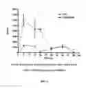 Fig. 07 - Method for In-Vivo Binding of Chromatin Fragments