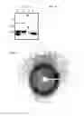 Fig. 02 - METHODS FOR THE HUMANIZATION OF ANTIBODIES AND HUMANIZED ANTIBODIES THEREBY OBTAINED