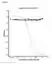 Fig. 02 - Single variable domain antibodies against OX40L, constructs and therapeutic use