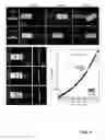 Fig. 08 - COMPOSITE MATERIALS AND THEIR USES AS WELL AS METHODS FOR THE PREPARATION THEREOF