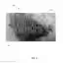 Fig. 04 - SOLID HYDROGEL MEDIA AND METHODS OF PREPARATION AND USE THEREFOR