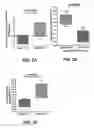 Fig. 07 - METHOD FOR PROGNOSTICATING THE CLINICAL RESPONSE OF A PATIENT TO B-LYMPHOCYTE INHIBITING OR DEPLETING THERAPY IN INTERFERON-DRIVEN DISEASES SUCH AS SLE