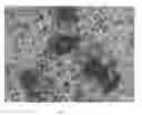 Fig. 02 - AL-NB-B MASTER ALLOY FOR GRAIN REFINING