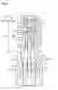 Fig. 06 - Variable displacement type swash plate compressor