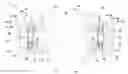 Fig. 01 - Bearing system and methods of use thereof
