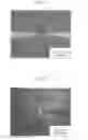 Fig. 09 - Sample analysis method