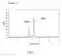 Fig. 02 - Process for Analyzing Sample by Capillary Electrophoresis Method