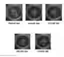 Fig. 40 - ENRICHMENT OF NUCLEIC ACID TARGETS