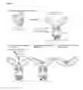 Fig. 02 - Method for identifying compounds of therapeutic interest