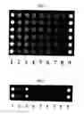 Fig. 02 - ANALYTICAL PROCESSING AND DETECTION DEVICE