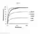 Fig. 23 - BINDING-INDUCED FORMATION OF DNA THREE-WAY JUNCTIONS FROM NON-DNA TARGETS