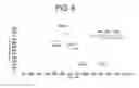 Fig. 15 - Phosphorylated Akt-specific capture agents, compositions, and methods of using and making