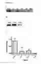 Fig. 35 - Phosphorylated Akt-specific capture agents, compositions, and methods of using and making