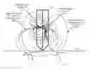 Fig. 01 - Techniques for identifying rolling gestures on a device