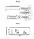 Fig. 04 - RELATIONSHIP ESTIMATION DEVICE AND RELATIONSHIP ESTIMATION METHOD