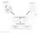 Fig. 01 - VISUAL TAGGING TO RECORD INTERACTIONS