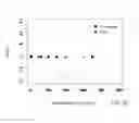 Fig. 04 - Multi-touch attribution model for valuing impressions and other online activities