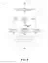 Fig. 09 - CLUSTERED BROWSE HISTORY
