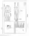 Fig. 10 - Virtual cellular staining