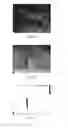 Fig. 08 - Method and apparatus for virtual viewpoint synthesis in multi-viewpoint video