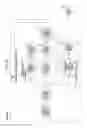 Fig. 09 - Generation of correlated keyword and image data